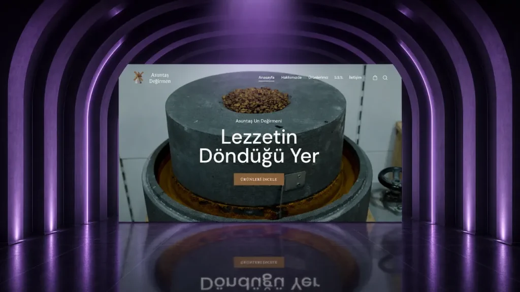 Asuntaş web sitesi tasarımı